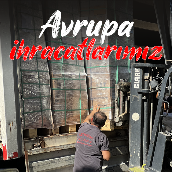 Avrupa İhracatlarımız